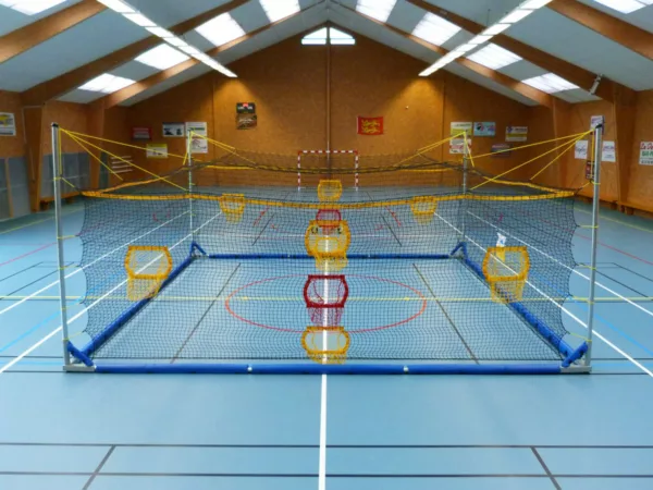 home ball transportable 6m50