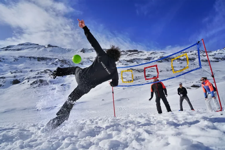 vholeball